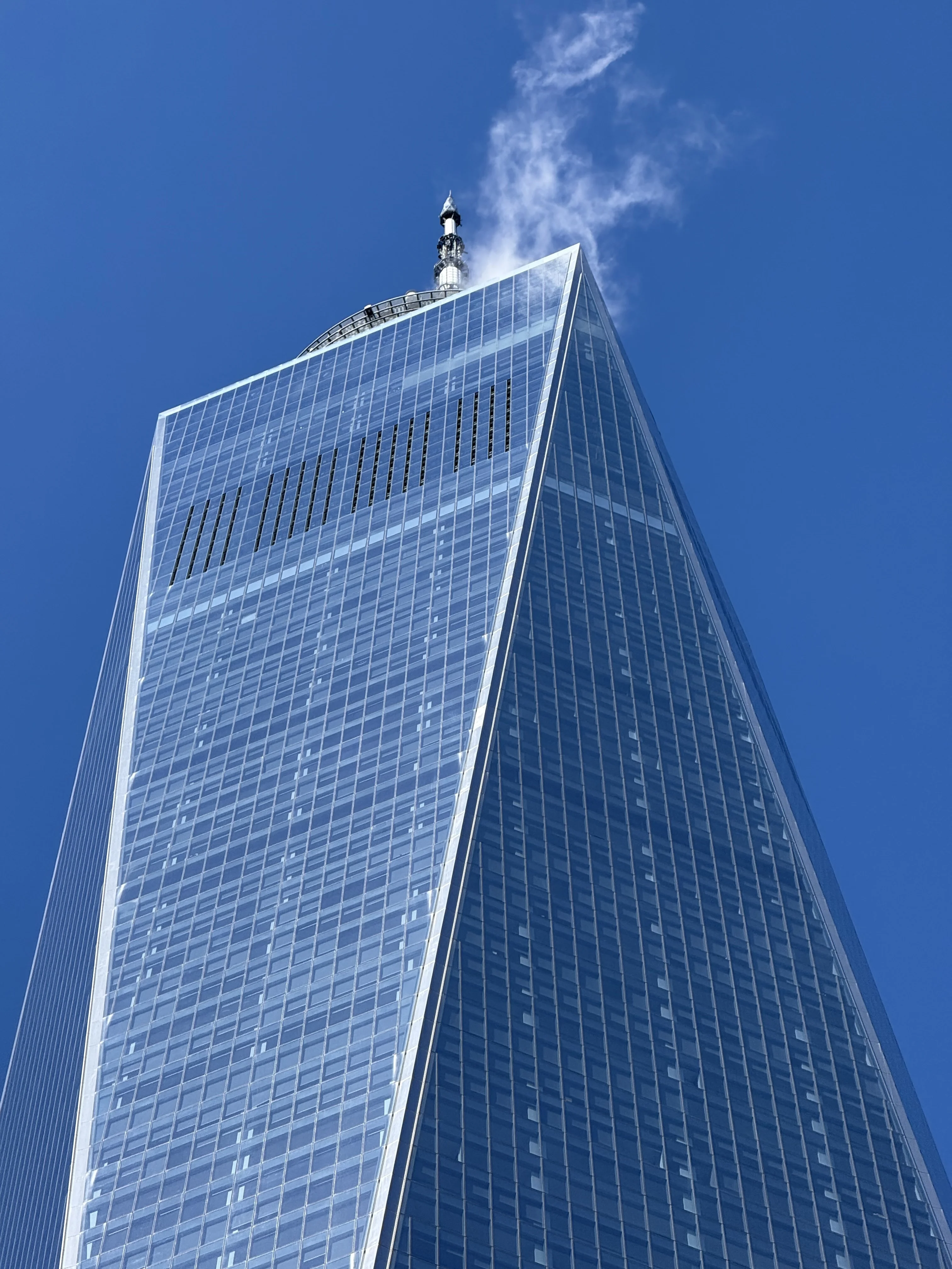 IMG 3250
